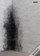 Anish Kapoor Dirty Corner