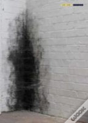 Capa do artigo Anish Kapoor Dirty Corner
