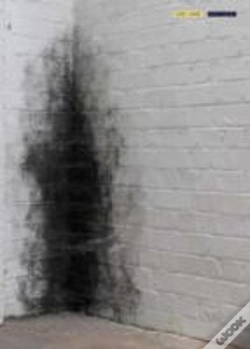 Capa do artigo Anish Kapoor Dirty Corner