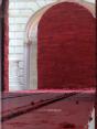 Anish Kapoor ; Svayambh - Preview
