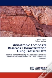 Anisotropic Composite Reservoir Characterization Using Pressure Data