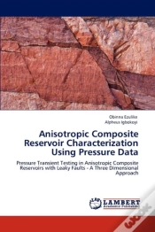 Capa do artigo Anisotropic Composite Reservoir Characterization Using Pressure Data