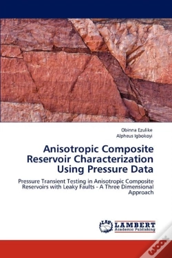 Capa do artigo Anisotropic Composite Reservoir Characterization Using Pressure Data