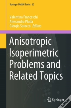 Capa do artigo Anisotropic Isoperimetric Problems And Related Topics
