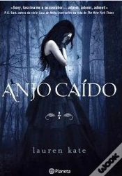 Capa do artigo Anjo Caído