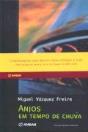 Anjos em Tempo de Chuva - Preview