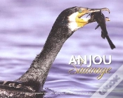 Capa do artigo Anjou Sauvage