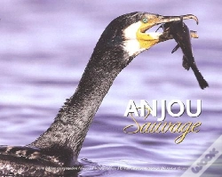 Capa do artigo Anjou Sauvage