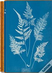 Anna Atkins. Cyanotypes - Edition Multilingue