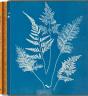 Anna Atkins. Cyanotypes - Edition Multilingue - Preview