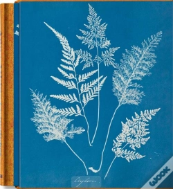 Capa do artigo Anna Atkins. Cyanotypes - Edition Multilingue