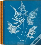 Capa do artigo Anna Atkins. Cyanotypes - Edition Multilingue