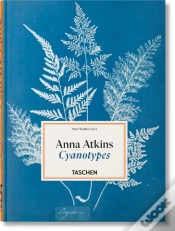 Capa do artigo Anna Atkins