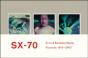 Anna & Bernhard Blume. Sx-70. Polaroids / Polaroid-Collages 1975-2000 - Preview