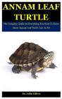 Annam Leaf Turtle - Preview