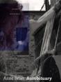 Anne Bean - Preview