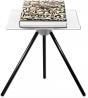 Annie Leibovitz ; Keith Haring - Preview