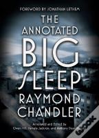 Annotated Big Sleep
