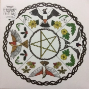 Capa do artigo Annual - Vinil