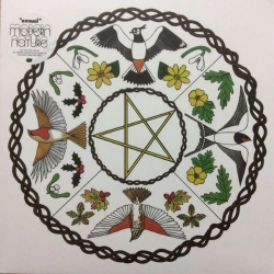 Capa do artigo Annual - Vinil