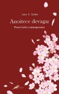 Anoitece Devagar