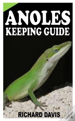 Capa do artigo Anoles Keeping Guide