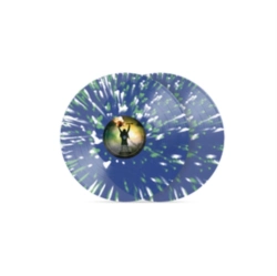 Capa do artigo Anomaly - Vinil