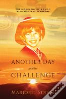 Another Day, Another Challenge