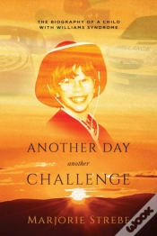 Capa do artigo Another Day, Another Challenge