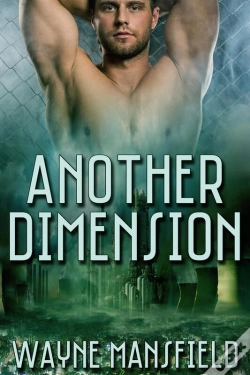 Capa do artigo Another Dimension