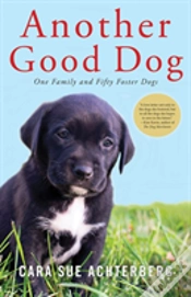 Capa do artigo Another Good Dog