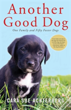 Capa do artigo Another Good Dog