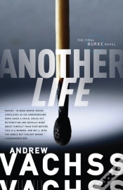 Capa do artigo Another Life