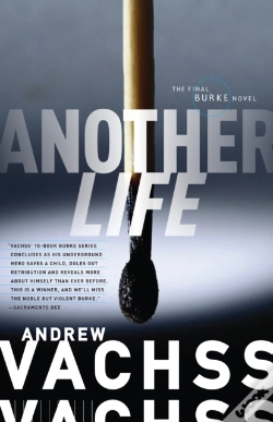 Capa do artigo Another Life