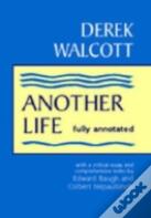 Another Life