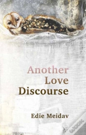 Capa do artigo Another Love Discourse