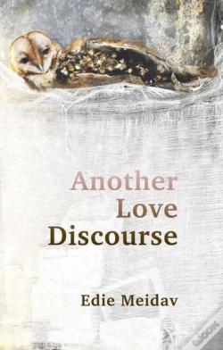 Capa do artigo Another Love Discourse