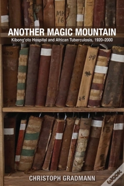 Capa do artigo Another Magic Mountain