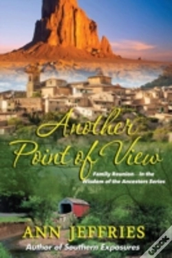 Capa do artigo Another Point Of View