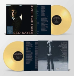 Capa do artigo Another Year - Vinil