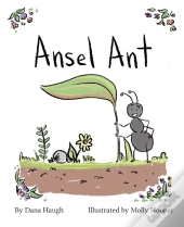 Ansel Ant