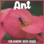 Ant Calendar 2021-2022 - Preview