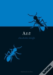 Capa do artigo Ant