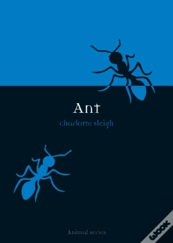 Capa do artigo Ant