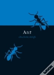 Capa do artigo Ant