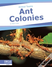 Ant Colonies