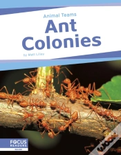 Capa do artigo Ant Colonies