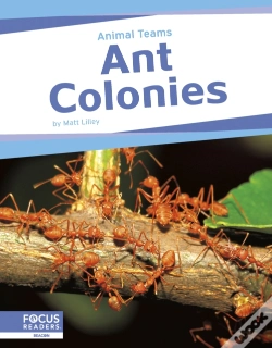 Capa do artigo Ant Colonies