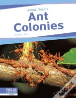 Ant Colonies