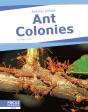 Ant Colonies - Preview